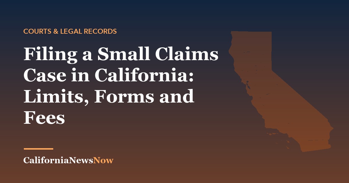 Filing a Small Claims Case in California: Limits, Forms and Fees — California News Now