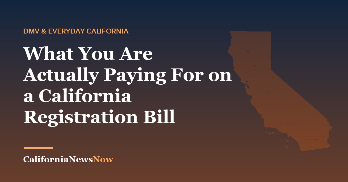 What You Are Actually Paying For on a California Registration Bill — California News Now