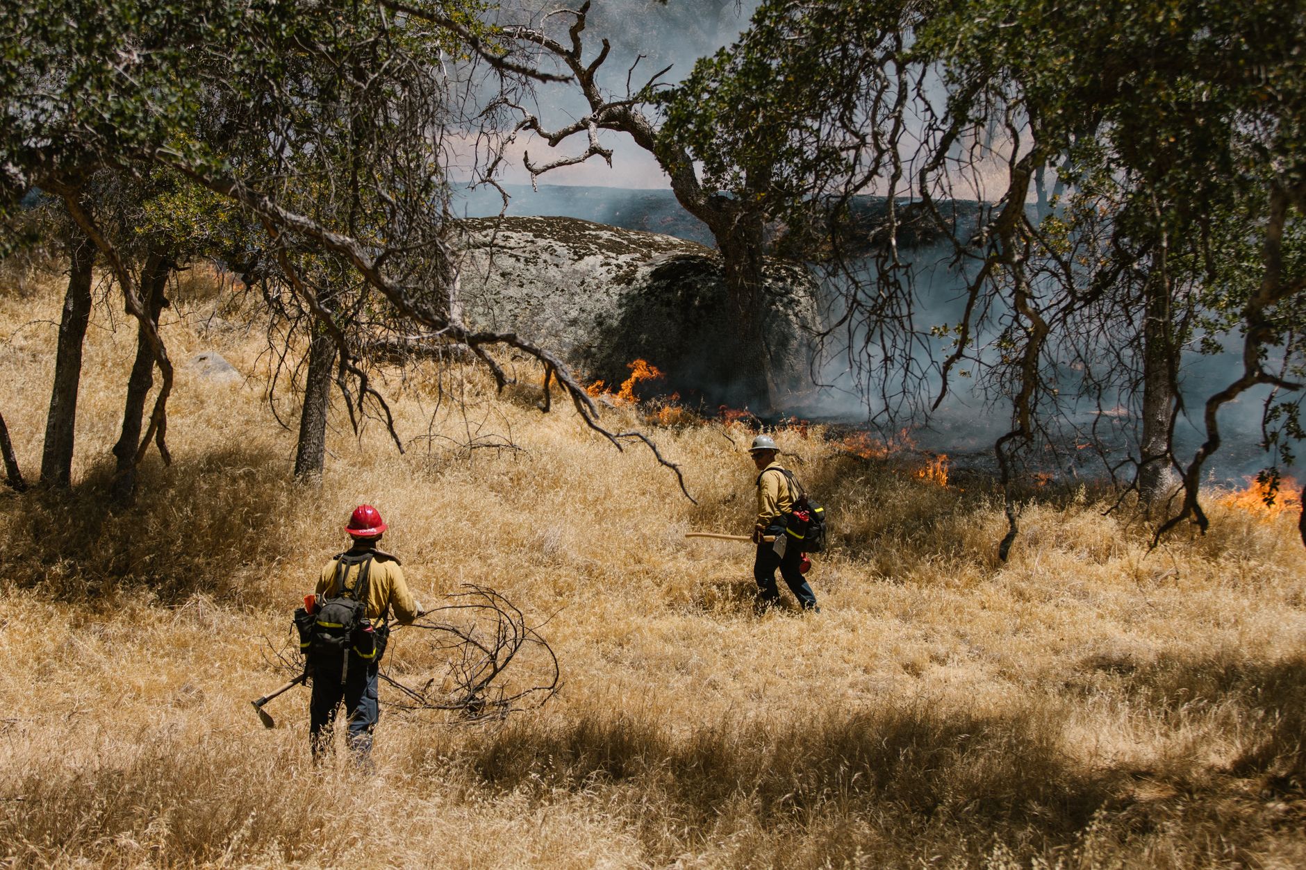 Grade Fire reported in Calaveras County August 24 - Featured image