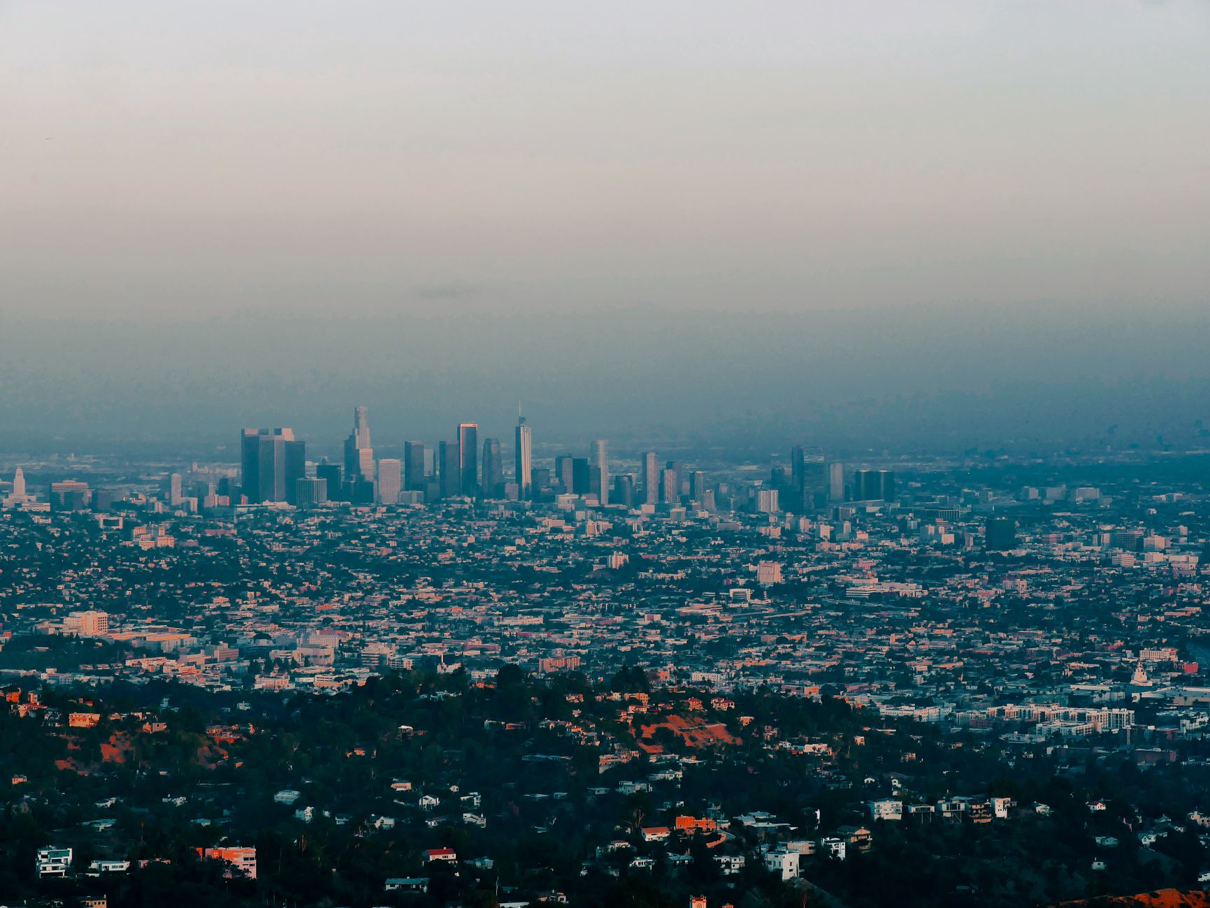 How Los Angeles Neighborhood Councils Actually Work - Featured image