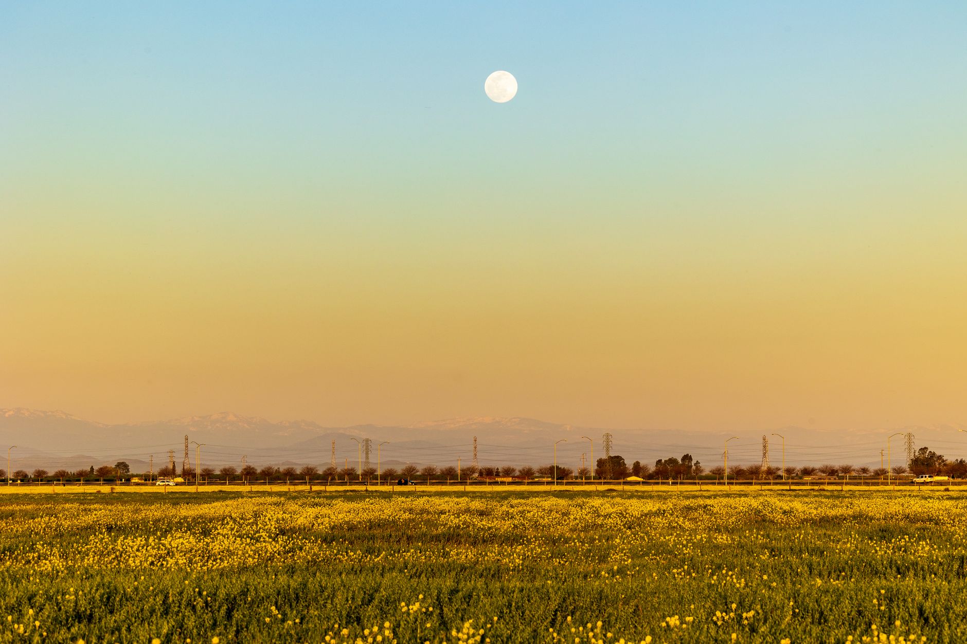 Merced County tire fire raises air quality concerns for farm communities - Featured image
