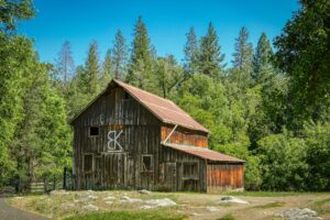 Nevada County League of Women Voters Emphasizes Individual Vote Power - Featured image
