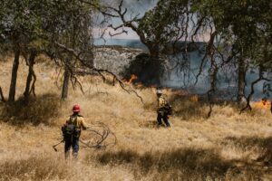 C2 Fire Reported in Lassen County on August 27 - Featured image