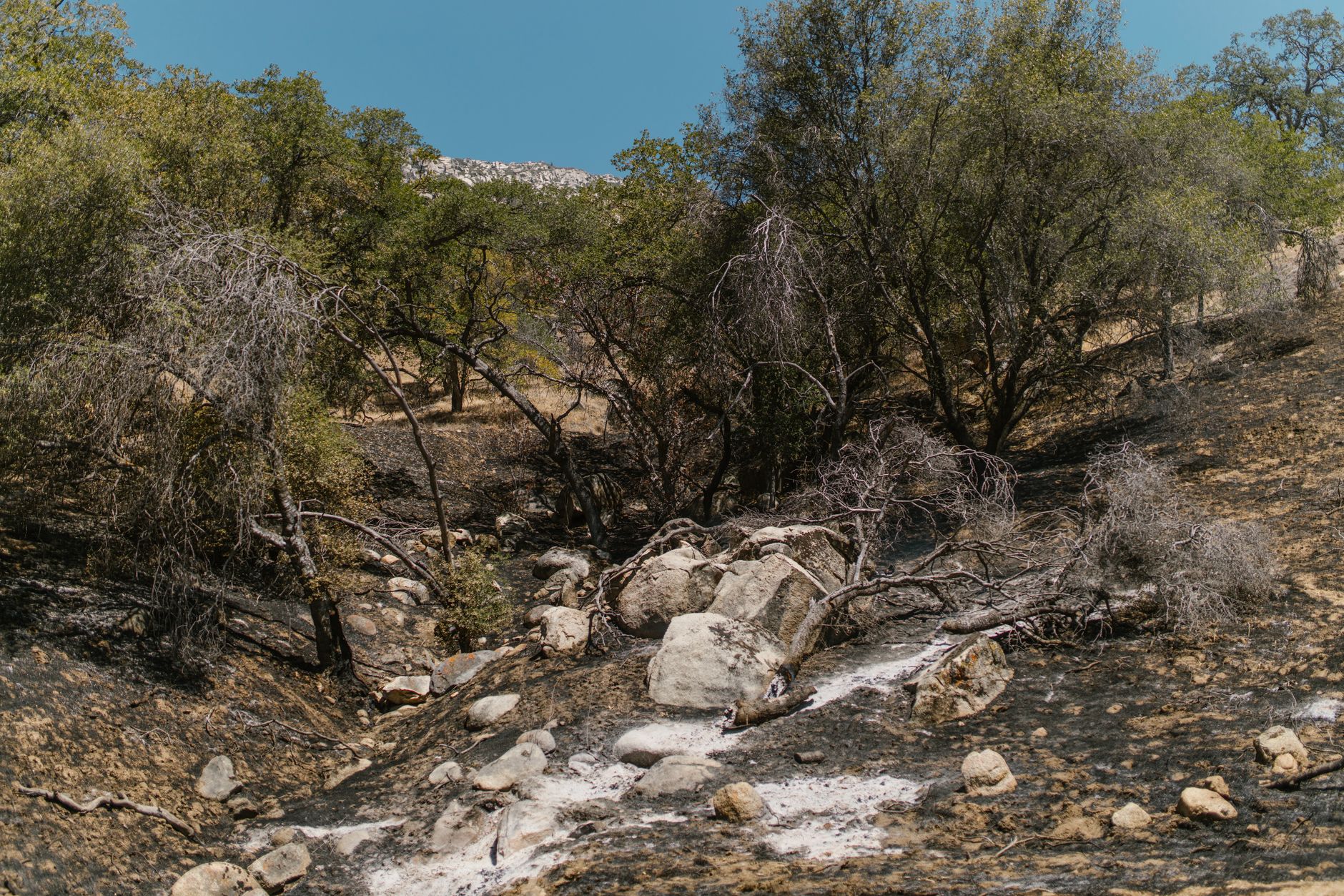 Game Fire Reported in Kern County on August 26 - Featured image