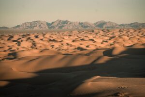 Imperial County proclaims emergency following August 12 storm damage - Featured image