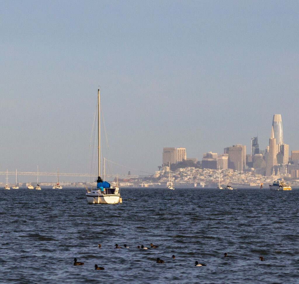 San Francisco skyline, home of OpenAI and the court hearing the ChatGPT human-review lawsuit