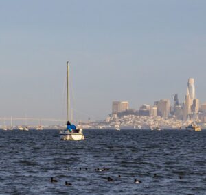 San Francisco skyline, home of OpenAI and the court hearing the ChatGPT human-review lawsuit