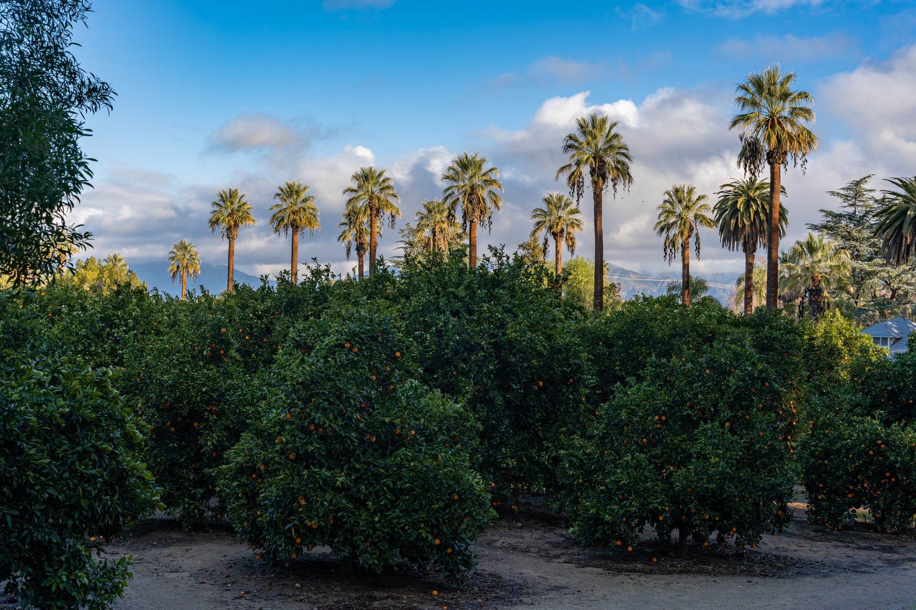 Orange County Launches E-Bike Buyback Program for Residents - Featured image