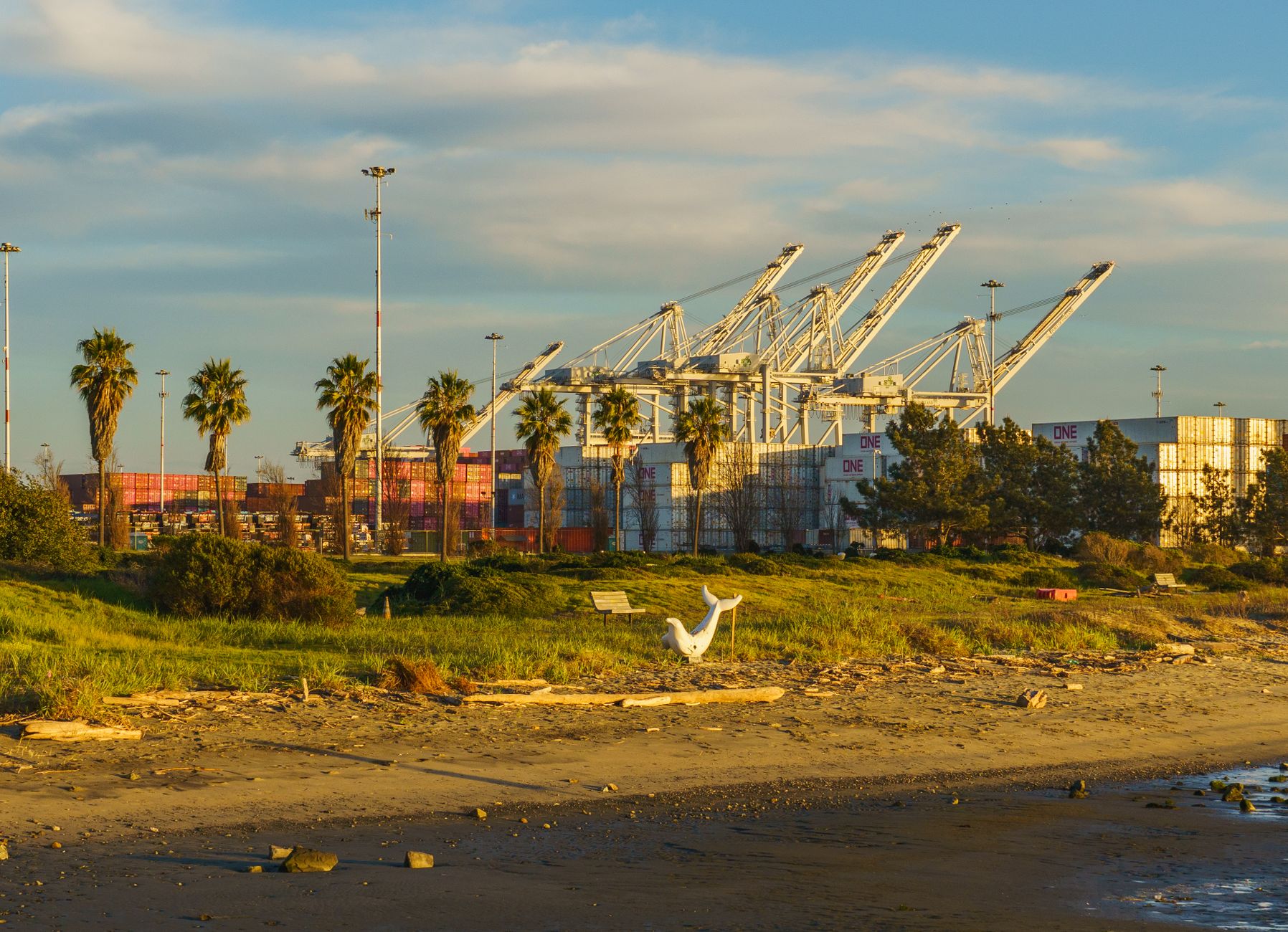 Container cranes behind palm trees at a California port